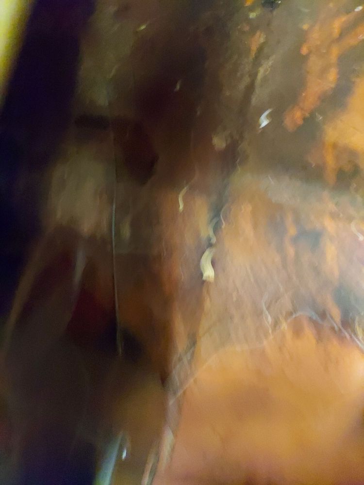 BAYOULAND YMCA Updated August 2024 103 Valhi Blvd, Houma, Louisiana Swimming Lessons