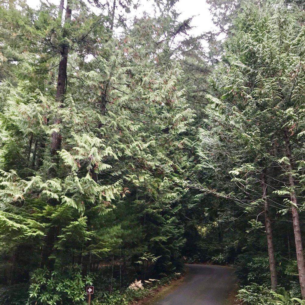 Scenic Beach State Park - Parks Near Me - Seabeck, Washington Scenic Beach State Park - Parks Near Me - Seabeck, Washington