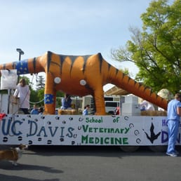 School of Veterinary Medicine 2010 float