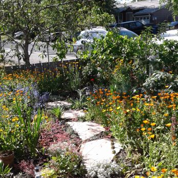 Maple Garden Design - Spring color - Landscape Architects or Designers Near Me