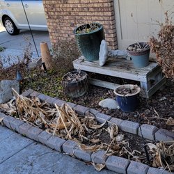 All American Landscaping - Spring cleaning and water feature