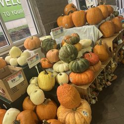 Publix Super Markets