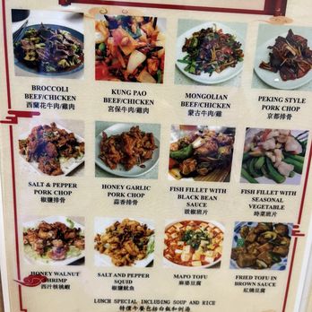 Mama Lu's Dumpling House - Lunch special!!! Everyone should order the walnut shrimp!! - Dim Sum Near Me - Tustin, California Mama Lu's Dumpling House - Lunch special!!! Everyone should order the walnut shrimp!! - Dim Sum Near Me - Tustin, California
