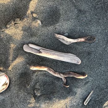 Sporthaven Beach - Beaches Near Me - Harbor, Oregon
