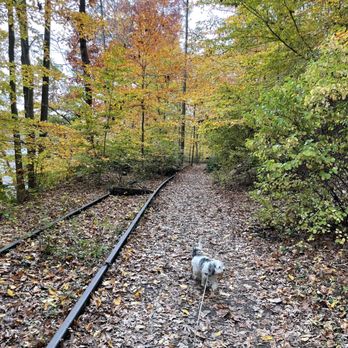 Lake Roland - Dog friendly! - Lakes Near Me - Baltimore, Maryland Lake Roland - Dog friendly! - Lakes Near Me - Baltimore, Maryland