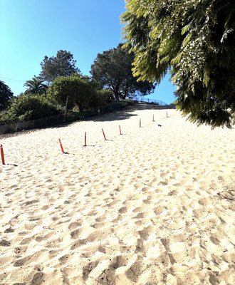 Sand Dune Park by null