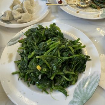 MY Dumpling - Garlic Pea shoots - Chinese Near Me - San Mateo, California MY Dumpling - Garlic Pea shoots - Chinese Near Me - San Mateo, California