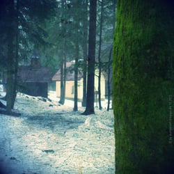 kohlstattbrunn
