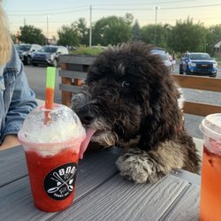 808 Shave Ice - 808 Strawberry Slush