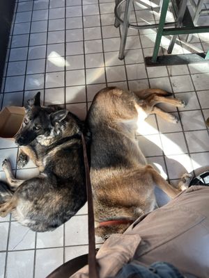 Short North Pint House by null