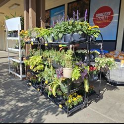 Grocery Outlet