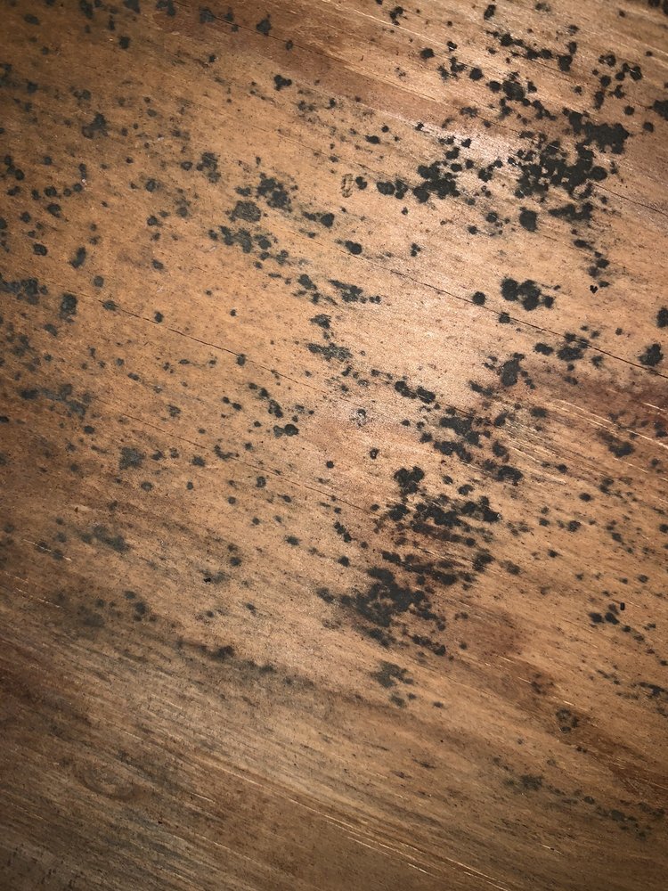 FOXFIRE WEST APARTMENTS Updated September 2024 360 S Rosenberger