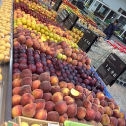 Hortisabor