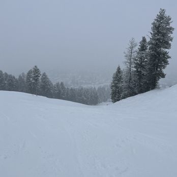 Snow King Mountain - Photo I took of their "green trail" that is NOT for beginners - Ziplining Near Me - Jackson, Wyoming