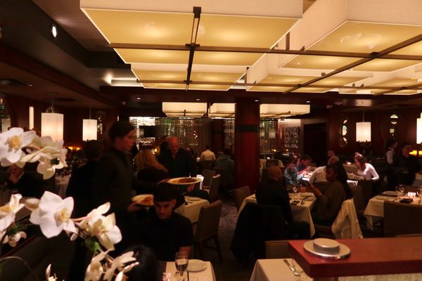 Ocean Prime by null