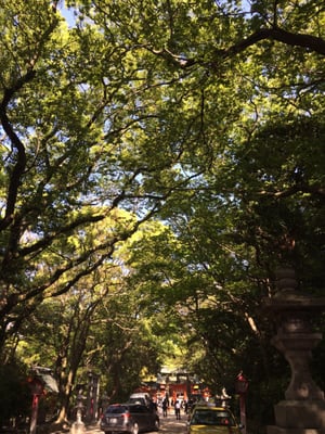 Sumiyoshi Shrine by null