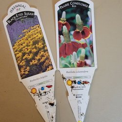 Van Atta's Greenhouse & Flower Shop - These are black-eyed susans and prairie coneflower.