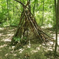 Gerald E. Eddy Discovery Center - Lots of places to explore along the natural play trail.