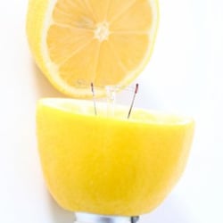 Citrus Pixel - Flash + Web + Development