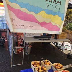 Oregon City Farmers Market - 11/8/2025 - These tomatoes were spendy but pretty incredible!