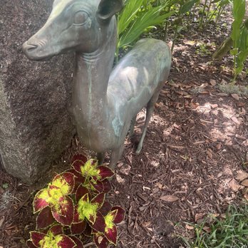 Airlie Gardens - Venues & Event Spaces Near Me - Wilmington, North Carolina Airlie Gardens - Venues & Event Spaces Near Me - Wilmington, North Carolina