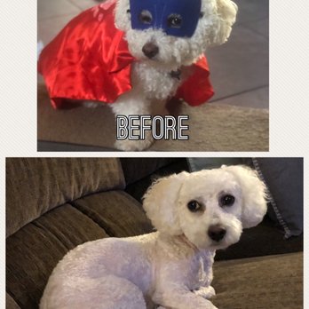 The Pet Parlor Mobile - Pet Groomers Near Me