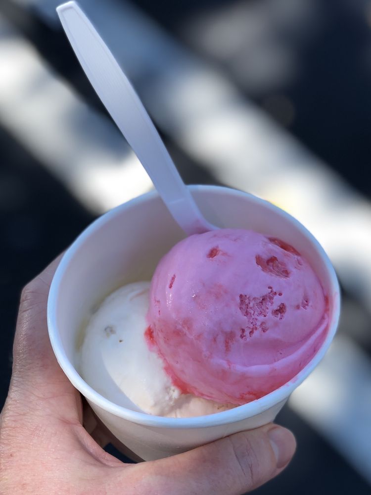 SILBERMANN’S ICE CREAM - 147 Photos & 228 Reviews - 196 Northgate Dr