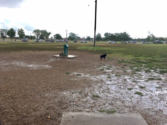 John Stiff Memorial Park by null