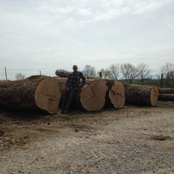 Harper Tree Works - Tree Services Near Me Harper Tree Works - Tree Services Near Me