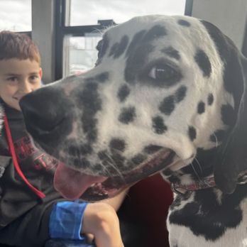 Skunk Train - Happy dog & Boy - Tours Near Me - Fort Bragg, California