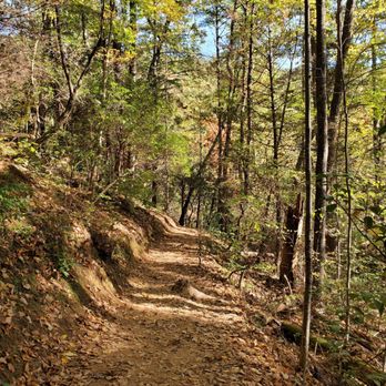 Fall Branch Falls - Hiking Near Me - Cherry Log, Georgia