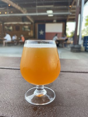 True Vine Brewing Company by null