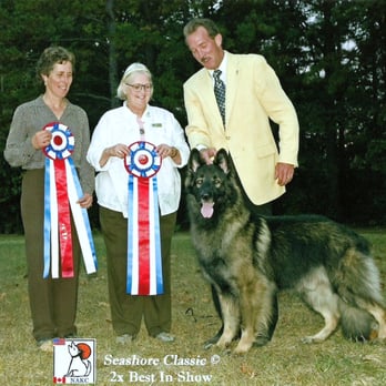 The Williams Dog Training Academy - Pet Services Near Me - Lower Township, New Jersey The Williams Dog Training Academy - Pet Services Near Me - Lower Township, New Jersey