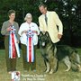 The Williams Dog Training Academy