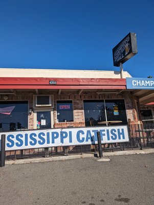 Mississippi Catfish by null
