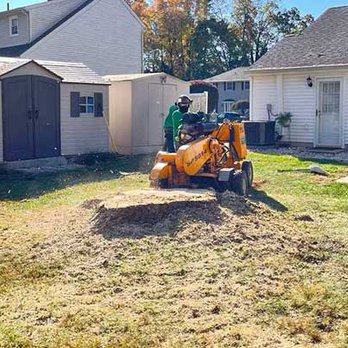 Leo's Tree Care - Tree Services Near Me