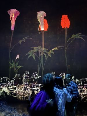 teamLab Borderless: MORI Building DIGITAL ART MUSEUM by null