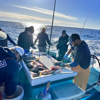 The New Sea Angler - Filleting the catch.  Dana is top notch - Boating Near Me - Bodega Bay, California