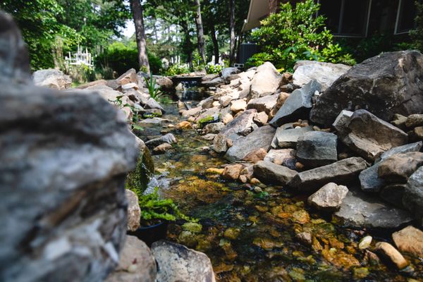 McDonald Garden Center