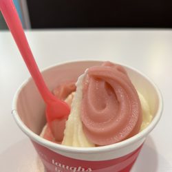 sweetFrog Premium Frozen Yogurt - Strawberry, vanilla no sugar added. Yummy!