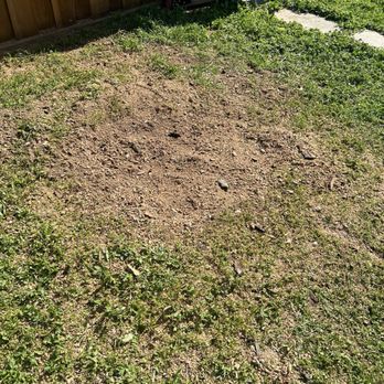 American Arbors Tree Service - Dead tree was cut down and stump removed. - Tree Services Near Me American Arbors Tree Service - Dead tree was cut down and stump removed. - Tree Services Near Me