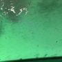 Photo of Clean Car