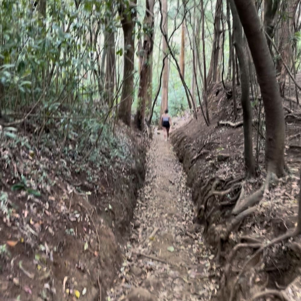 Lulumahu Falls - Clear path to follow - Hiking Near Me - Honolulu, Hawaii Lulumahu Falls - Clear path to follow - Hiking Near Me - Honolulu, Hawaii