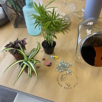 Sac City Stems - Nurseries & Gardening Near Me - Sacramento, California