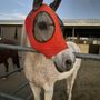 Adobe Veterinary Center