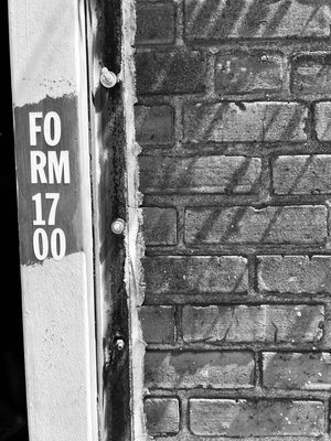 Fermentery Form by null