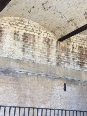 Paddington Reservoir Gardens by null