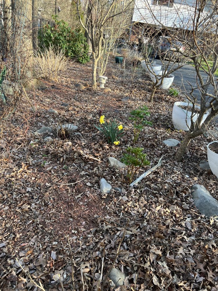 Slide of Mountain Maintenace & Renovations