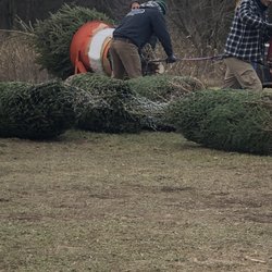 Beaverbrook Tree Farm