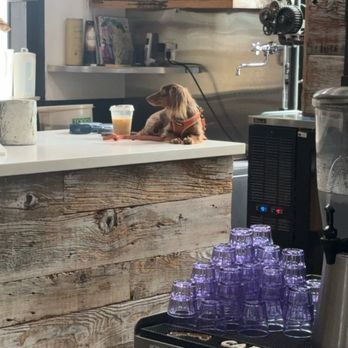 Craft Kafe - Cafes Near Me - Saint Petersburg, Florida